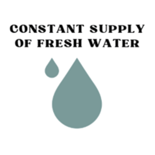 Water