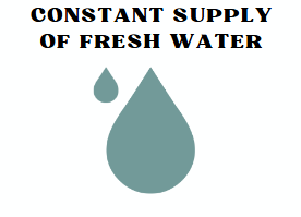 Constant Supply of Water