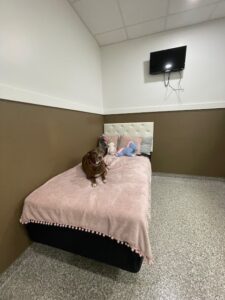 Lodging img 7449