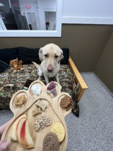 Lodging pawcutirie